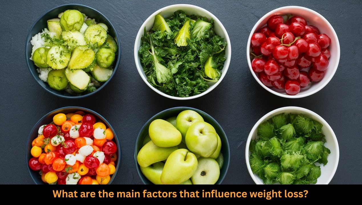 What are the Main Factors that Influence Weight Loss