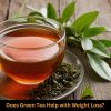 Does Green Tea Help with Weight Loss